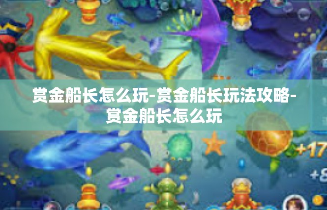 赏金船长怎么玩-赏金船长玩法攻略-赏金船长怎么玩