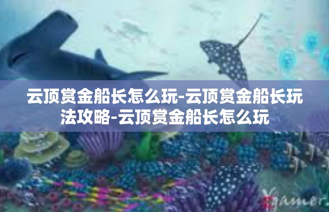 云顶赏金船长怎么玩-云顶赏金船长玩法攻略-云顶赏金船长怎么玩