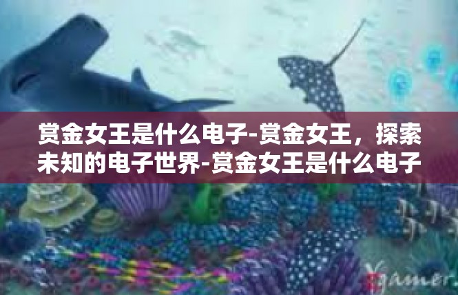 赏金女王是什么电子-赏金女王，探索未知的电子世界-赏金女王是什么电子