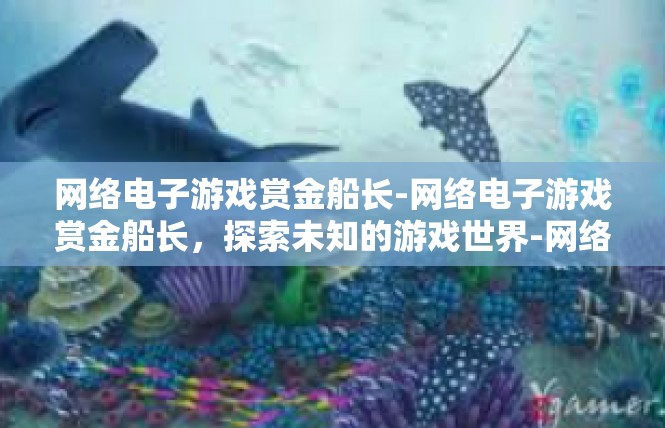 网络电子游戏赏金船长-网络电子游戏赏金船长，探索未知的游戏世界-网络电子游戏赏金船长