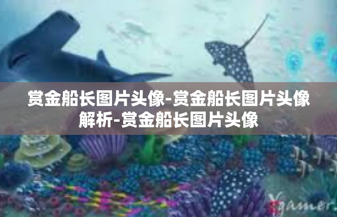 赏金船长图片头像-赏金船长图片头像解析-赏金船长图片头像