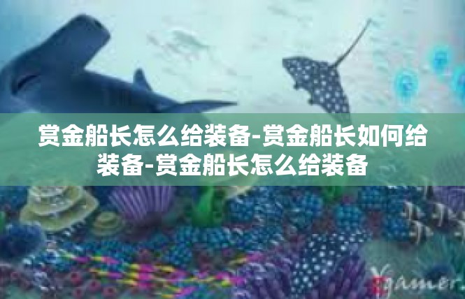 赏金船长怎么给装备-赏金船长如何给装备-赏金船长怎么给装备
