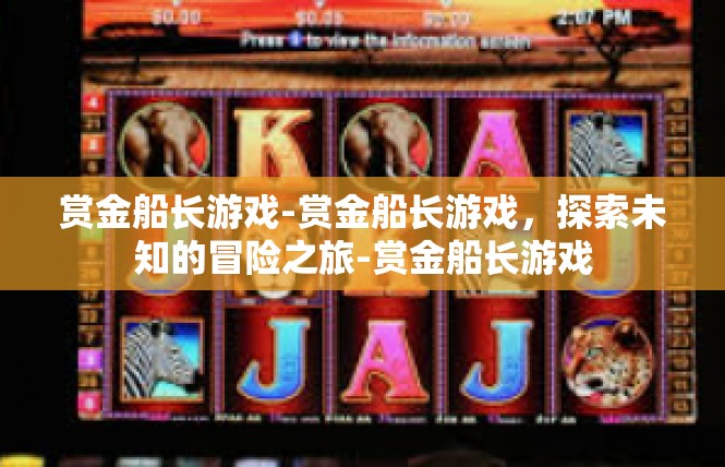 赏金船长游戏-赏金船长游戏，探索未知的冒险之旅-赏金船长游戏