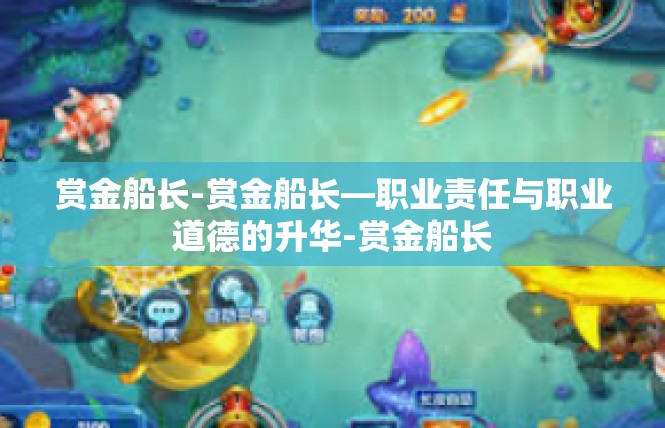 赏金船长-赏金船长—职业责任与职业道德的升华-赏金船长