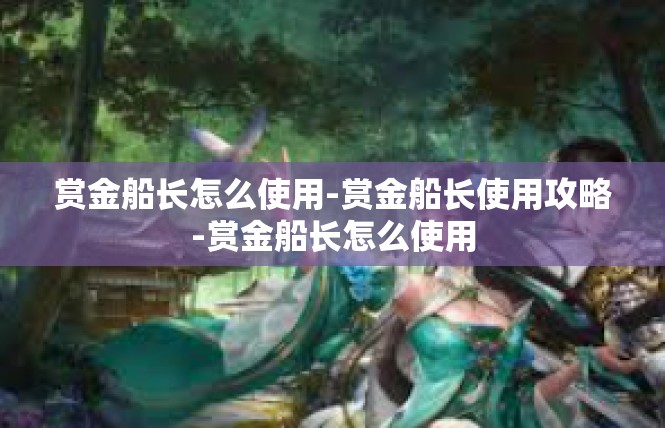 赏金船长怎么使用-赏金船长使用攻略-赏金船长怎么使用