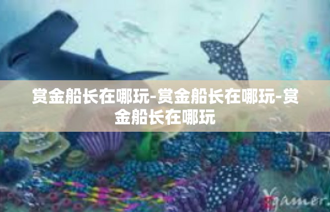 赏金船长在哪玩-赏金船长在哪玩-赏金船长在哪玩