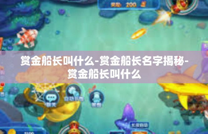 赏金船长叫什么-赏金船长名字揭秘-赏金船长叫什么