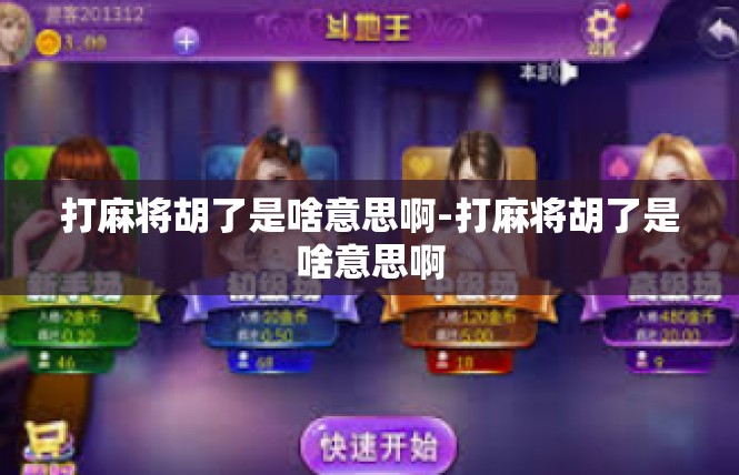 打麻将胡了是啥意思啊-打麻将胡了是啥意思啊