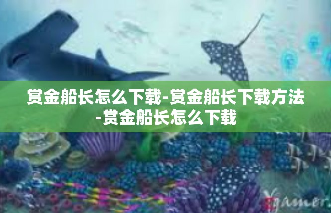 赏金船长怎么下载-赏金船长下载方法-赏金船长怎么下载