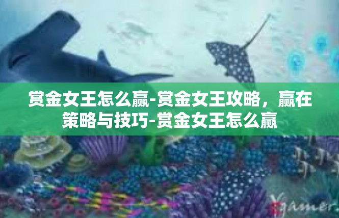 赏金女王怎么赢-赏金女王攻略，赢在策略与技巧-赏金女王怎么赢
