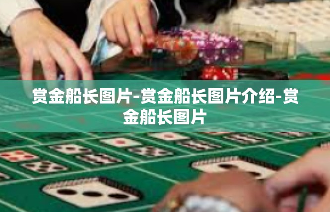 赏金船长图片-赏金船长图片介绍-赏金船长图片