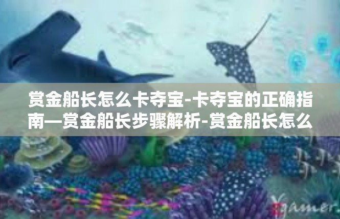 赏金船长怎么卡夺宝-卡夺宝的正确指南—赏金船长步骤解析-赏金船长怎么卡夺宝